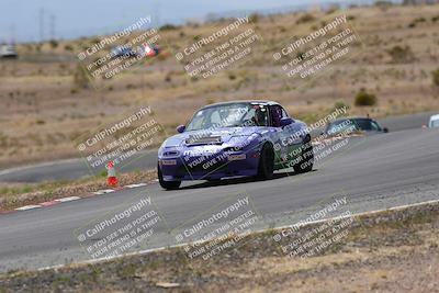 media/May-03-2025-Lucky Dog Racing (Sat) [[206de64b9d]]/Turn 6 (150pm-230pm)/